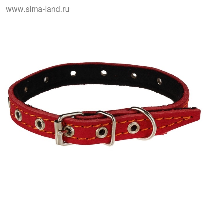 Ошейник кожаный на синтепоне, безразмерный, 37 х 1,5 см, ОШ 21-31 см, красный
