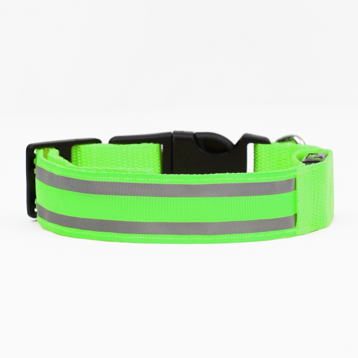 Ошейник с подсветкой Двойная полоса размер S, ОШ 35-43 х 2,5 см, 3 режима свечения зелёный
