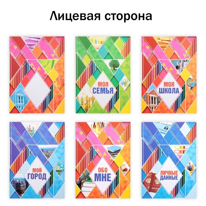 Папка школьная на кольцах &laquo;Портфолио школьника&raquo;, 13 листов-разделителей, 24,5 х 32 см.