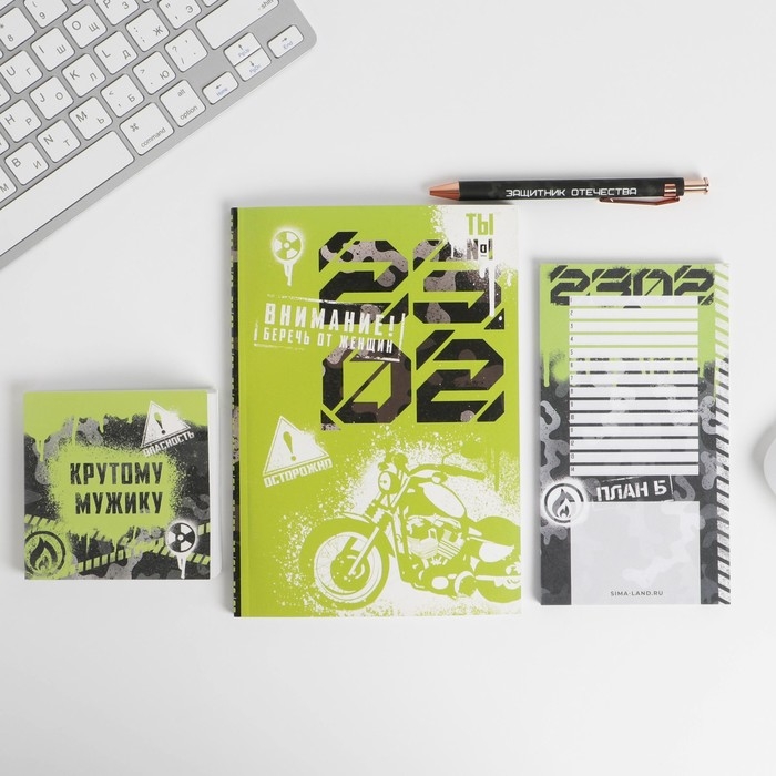 Подарочный набор &laquo;Защитник отечества&raquo;: Ежедневник А5, 80 л., термостакан, ручка, планинг 50 л., блок для записей 100 л.