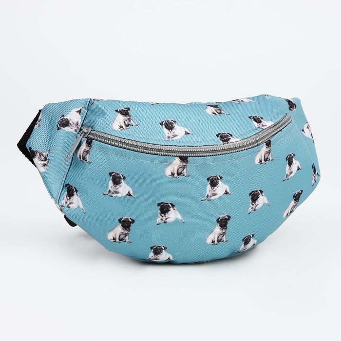 Поясная сумка на молнии, цвет голубой Поясная сумка на молнии, цвет голубой