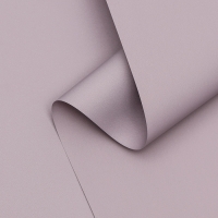 Пленка для цветов тонированная, матовая, пепельно- сиреневая, 0,5 х 10 м, 65 мкм Пленка для цветов тонированная, матовая, пепельно- сиреневая, 0,5 х 10 м, 65 мкм