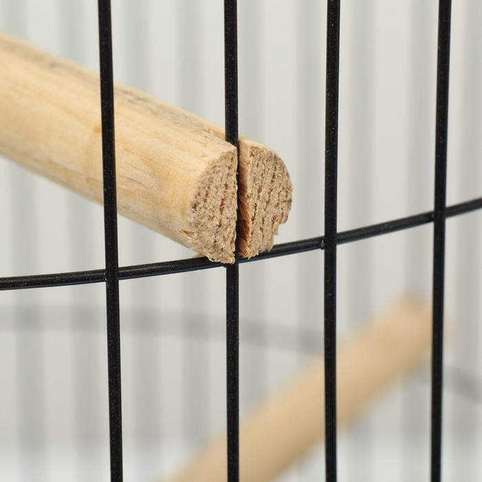 Клетка для корелл круглая «Рио», 40 x 83 см, микс цветов Клетка для корелл круглая «Рио», 40 x 83 см, микс цветов