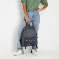 Рюкзак школьный текстильный &laquo;Утки&raquo;, с карманом, цвет серый