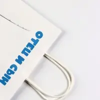 Пакет подарочный крафт &laquo;Отец и сын&raquo;, 21&times;11&times;27 см