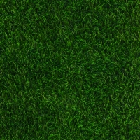 Газон искусственный, с проклейкой, высота 4см, 15иг, 2 х 25 м, зеленый, "Greengo"