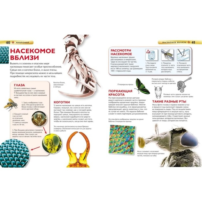 Детская энциклопедия &laquo;Микромир&raquo;