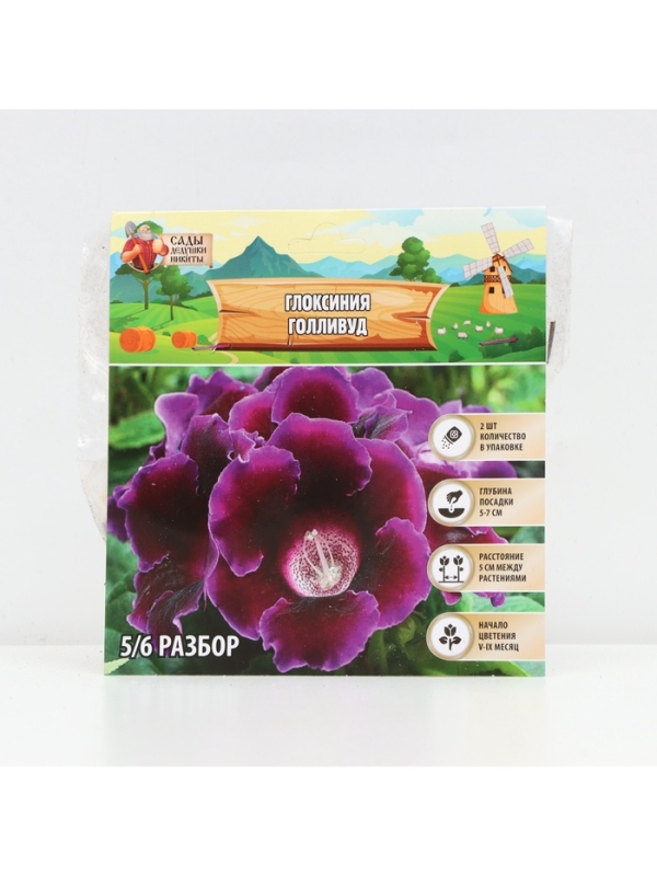 Глоксиния &laquo;Голливуд&raquo;, многолетник, комнатный, луковица в пакете с перфорацией, р-р 5/6, 2 шт.