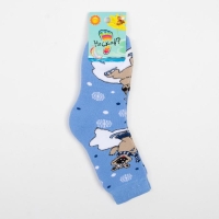 Носки детские махровые, цвет голубой, размер 20-22