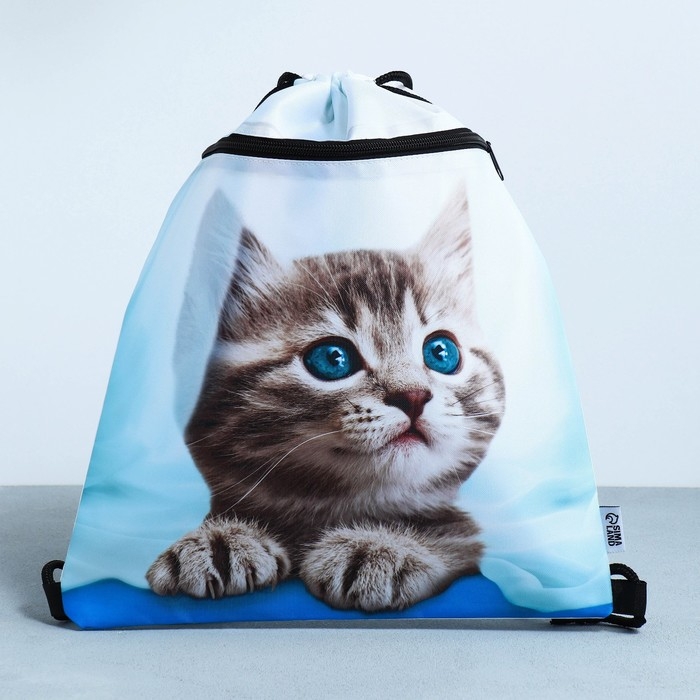 Мешок для обуви &laquo;Милый котик&raquo; 2 секции, 30&times;40 см