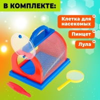Набор для исследований &laquo;Юный биолог&raquo;, для ловли насекомых, цвета МИКС