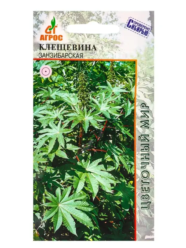 Семена Клещевина "Занзибарская" 4 шт