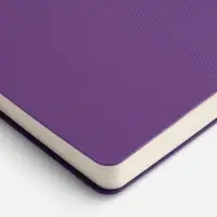 Ежедневник Vale New, недатированный, фиолетовый