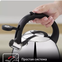 Чайник для плиты Duetto+ N4180110, 2.7 л, стальной