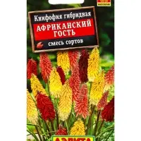 Семена цветов Книфофия Африканский гость, смесь сортов Мн, Ц/П,30 шт.