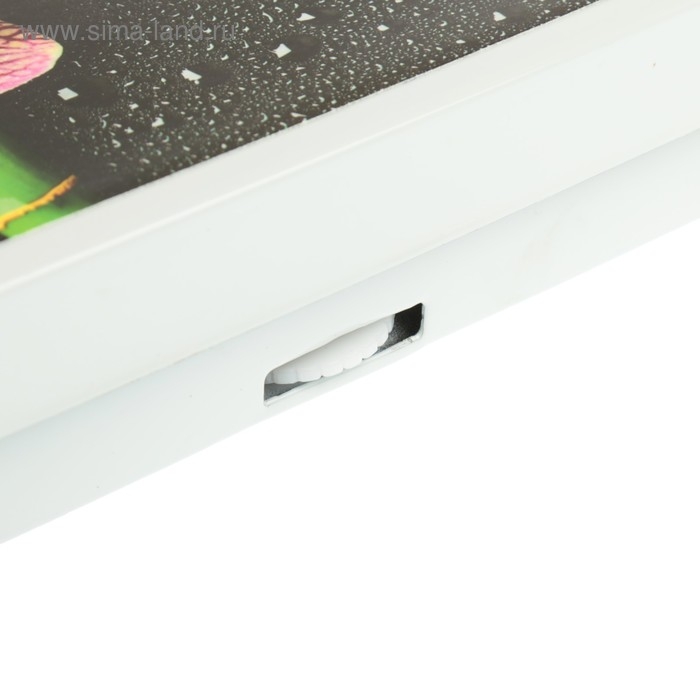 Весы напольные ENERGY ENМ-409D, механические, до 130 кг, картинка Весы напольные ENERGY ENМ-409D, механические, до 130 кг, картинка "Бамбук"