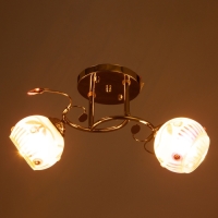 Люстра "Арден" 2х40Вт Е27 Золото МОДЕЛЬ: 2600551 Люстра "Арден" 2х40Вт Е27 Золото МОДЕЛЬ: 2600551