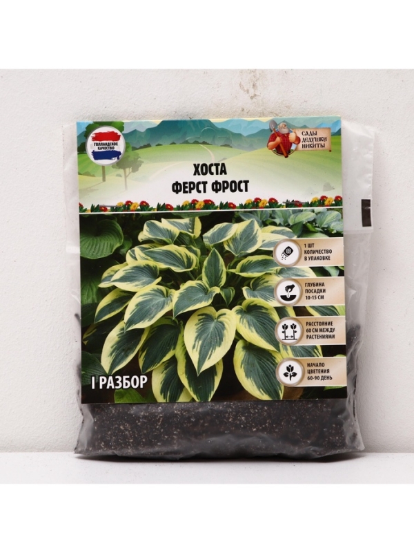 Хоста &laquo;Ферст Фрост&raquo;, корневище в пакете с торфогрунтом, р-р I, 1 шт.