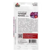 Семена цветов Обриета "Чарующий Марокко", ц/п,  0,05 г