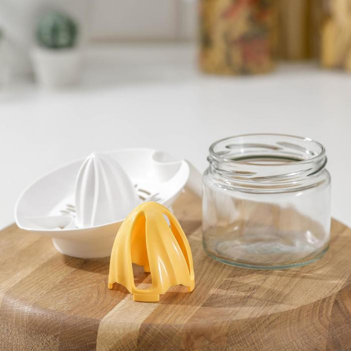 Соковыжималка &laquo;Цитрус&raquo;, 300 мл, цвет МИКС