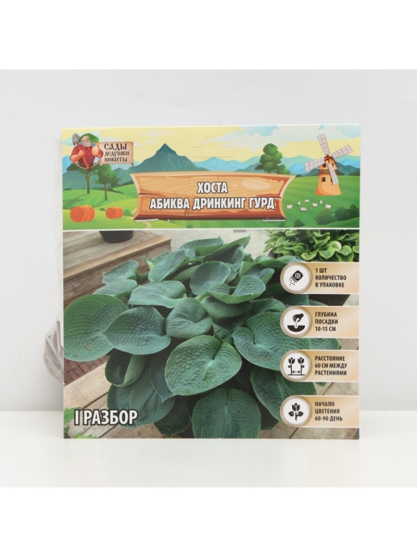 Хоста &laquo;Абиква Дринкинг Гурд&raquo;, корневище в пакете с торфогрунтом, р-р I, 1 шт.