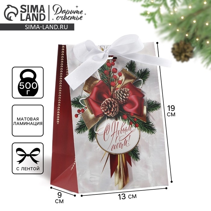 Пакет подарочный новогодний с лентой &laquo;Новый год&raquo;, 13 х 19 х 9 см , Новый год