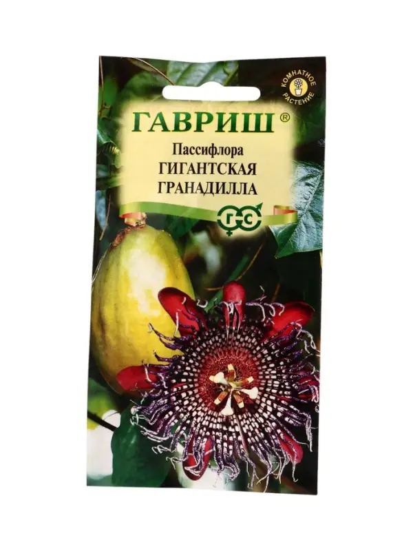 Семена цветов Пассифлора Гигантская гранадилла (четырехгранная)* 3 шт.