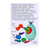 Развивающий набор &laquo;Птичка в яичке&raquo;, МИКС