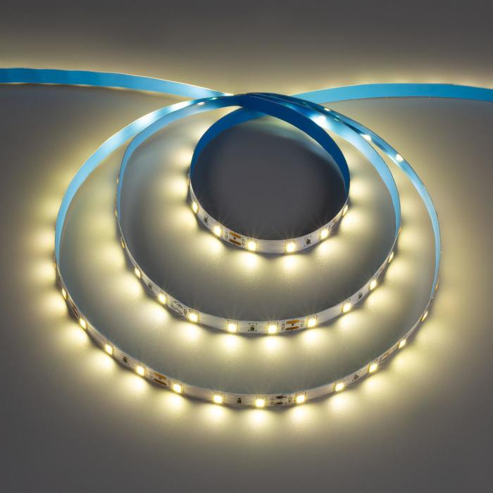 Светодиодная лента Ecola PRO 5 м, IP20, SMD2550, 60 LED/м, 19 Вт/м, 12 В, 4200К Светодиодная лента Ecola PRO 5 м, IP20, SMD2550, 60 LED/м, 19 Вт/м, 12 В, 4200К