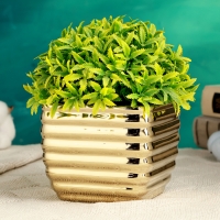 Кашпо "Страйпс" золотое, 10х10х8,5см Кашпо "Страйпс" золотое, 10х10х8,5см