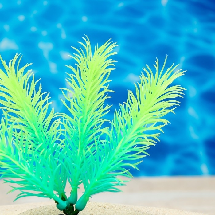Растение искусственное аквариумное, светящееся, 10 см, зелёное Растение искусственное аквариумное, светящееся, 10 см, зелёное