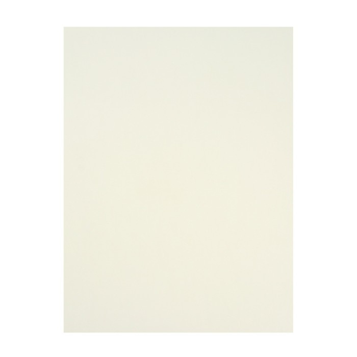 Папка для пастели А3, 297 х 420 мм, 20 листов, тонированная бумага, слоновая кость, ГОЗНАК "Скорлупа", блок 200 г/м&sup2;
