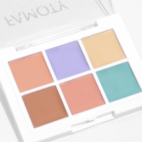 Палетка консилеров Hidden Treasure, 6 оттенков Палетка консилеров Hidden Treasure, 6 оттенков