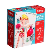 Набор для опытов &laquo;Наука твоего тела&raquo;, 10 опытов