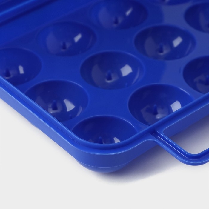 Контейнер для хранения яиц с ручкой, 20&times;7 см, 12 ячеек, цвет МИКС