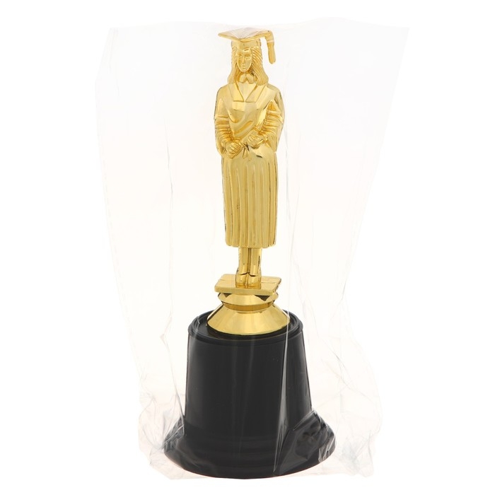 Фигура под нанесение на Выпускной &laquo;Выпускница&raquo;, пластик, высота 17,5 см