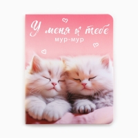 Значок на открытке &laquo;Котики&raquo;, 10 х 8 см