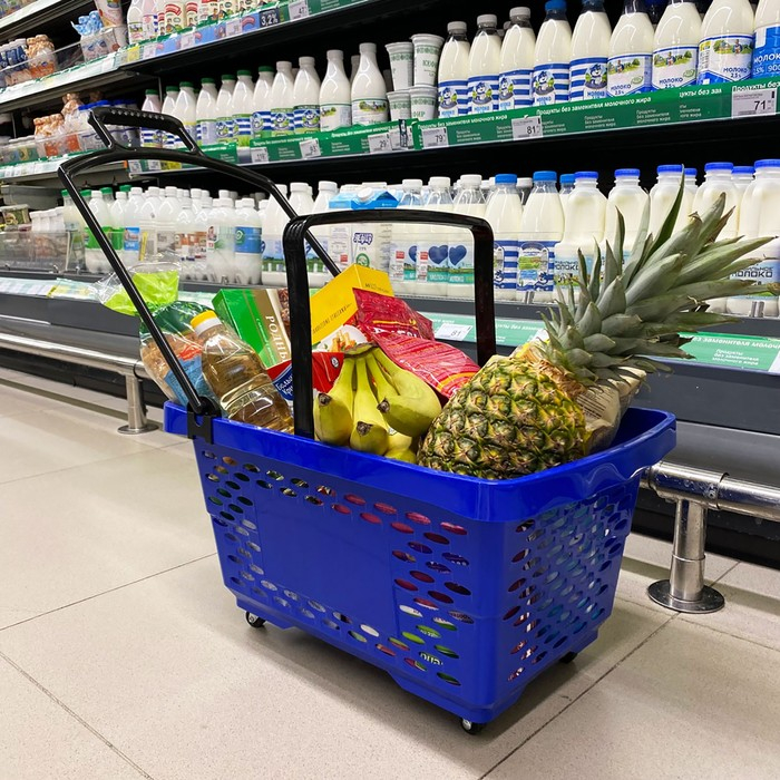 Корзина-тележка на 4 колесах пластиковая, 28 л, с 2 пластиковыми ручками, цвет синий Корзина-тележка на 4 колесах пластиковая, 28 л, с 2 пластиковыми ручками, цвет синий