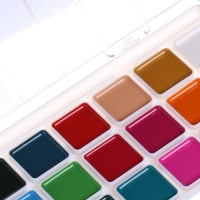 Акварель 24 цвета Гамма "Орнамент", медовая, без кисти, пластиковая упаковка, европодвес