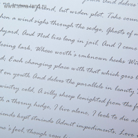 Пленка для цветов "Послание", белая, 0,6 х 10 м Пленка для цветов "Послание", белая, 0,6 х 10 м