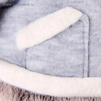 Мягкая игрушка &laquo;Басик&raquo; в толстовке дракончик, 22 см