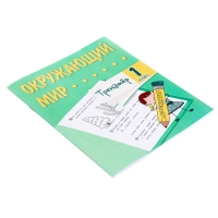 Тренажёр &laquo;Окружающий мир&raquo; 1 кл.