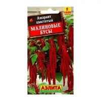 Набор семян Амарант "Малиновые бусы", О, 5 шт.