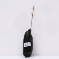 Крыжовник "Сенатор", 1 шт, туба, Весна 2025