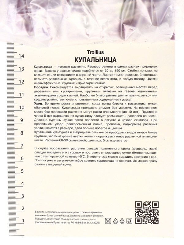 Купальница гибридная Чеддар, р-р I, 1 шт, Весна 2025 Купальница гибридная Чеддар, р-р I, 1 шт, Весна 2025