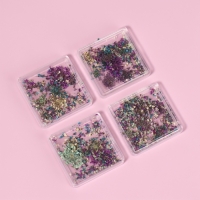 Сухоцветы для декора ногтей, в футляре, вид МИКС Сухоцветы для декора ногтей, в футляре, вид МИКС