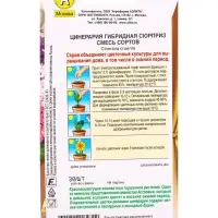 Семена цветов Цинерария гибридная Сюрприз, смесь сортов Мн Зимний сад, Ц/П,30 шт.