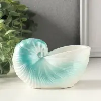 Подставка для мелочей &laquo;Ракушка&raquo; 8&times;12&times;6 см, гипс, голубой перламутр