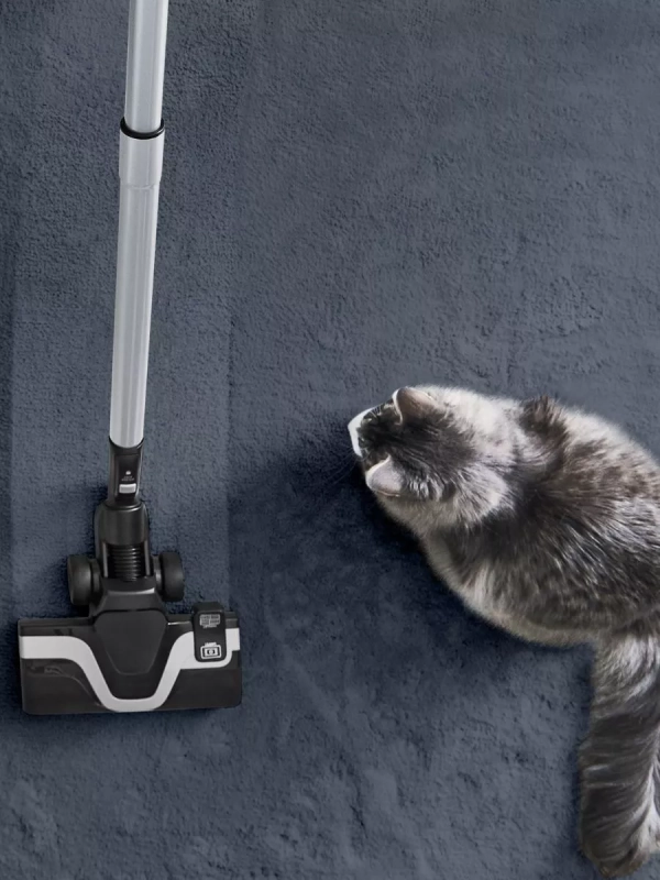 Пылесос Silence Force Cyclonic Effitech TW7976EA, 500 Вт