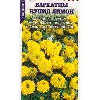 Семена Бархатцы Купид Лимон /Сотка/ 0,1 г/ прям. 35см, d-10см/*1500